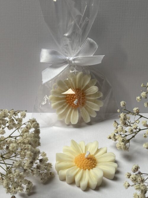 Świece sojowe w kształcie stokrotki, w tle gipsówka